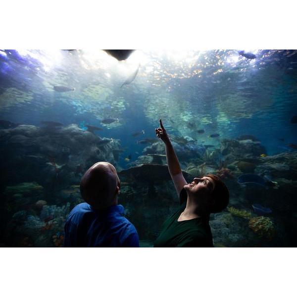Us enjoying the Aquarium of the Pacific.