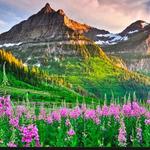 Glacier National Park