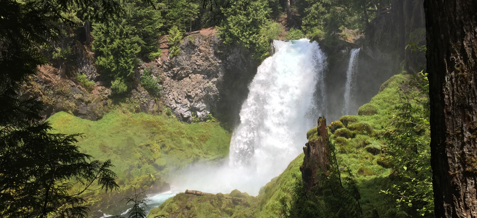 The Wedding Website of Shaina Trevino and Cesar Marin