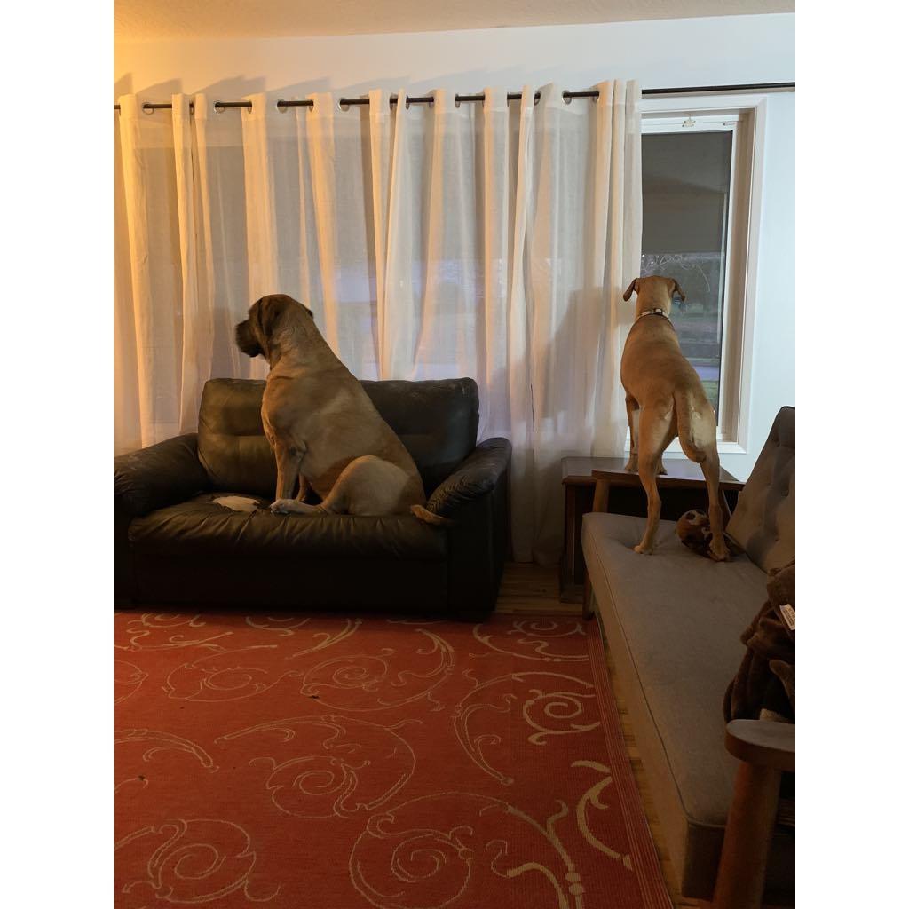 Our boys getting along allowed the relationship to grow.