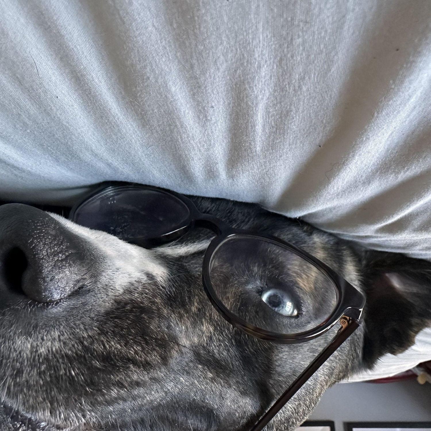 Lady wearing glasses
