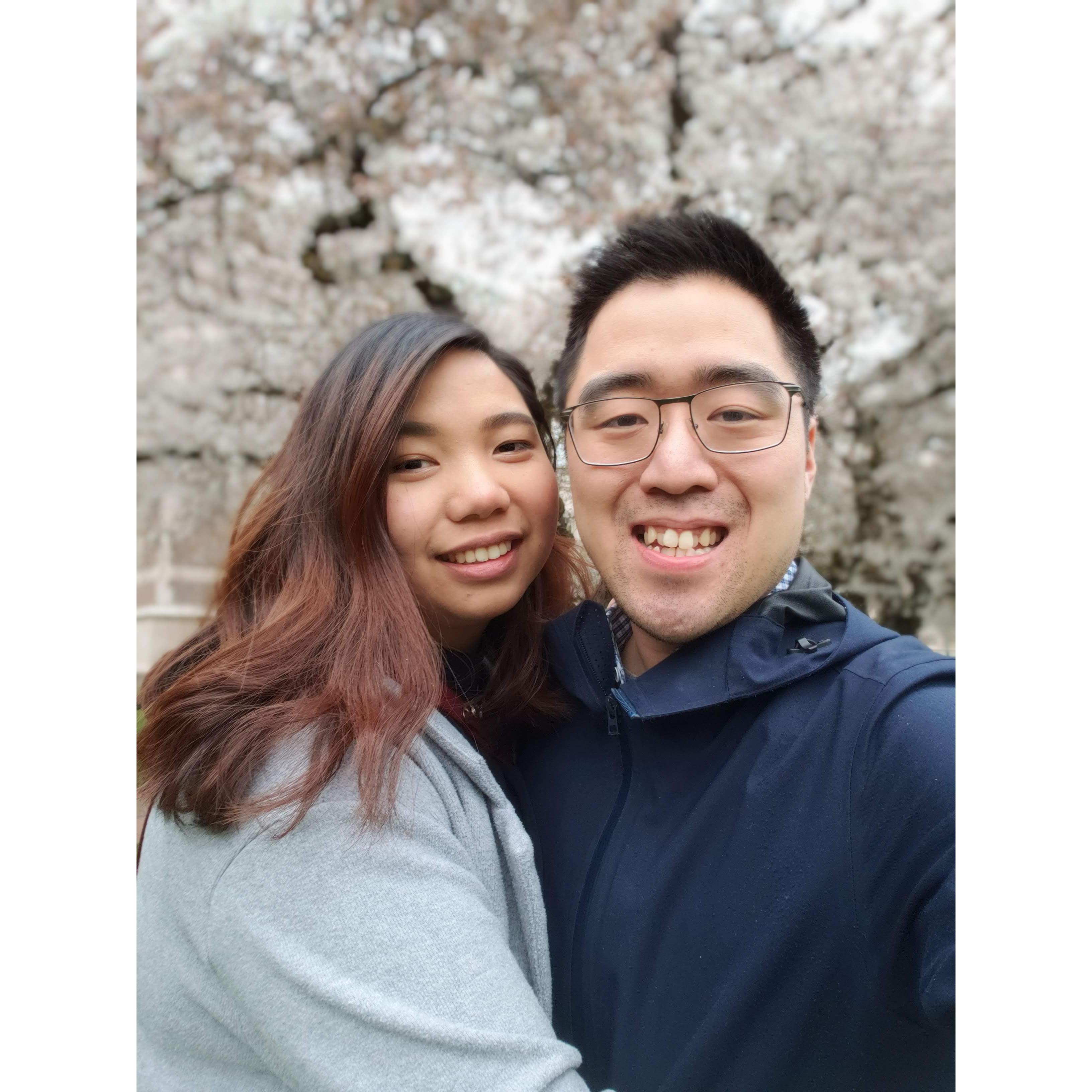 Spring time fun seeing Cherry Blossoms
