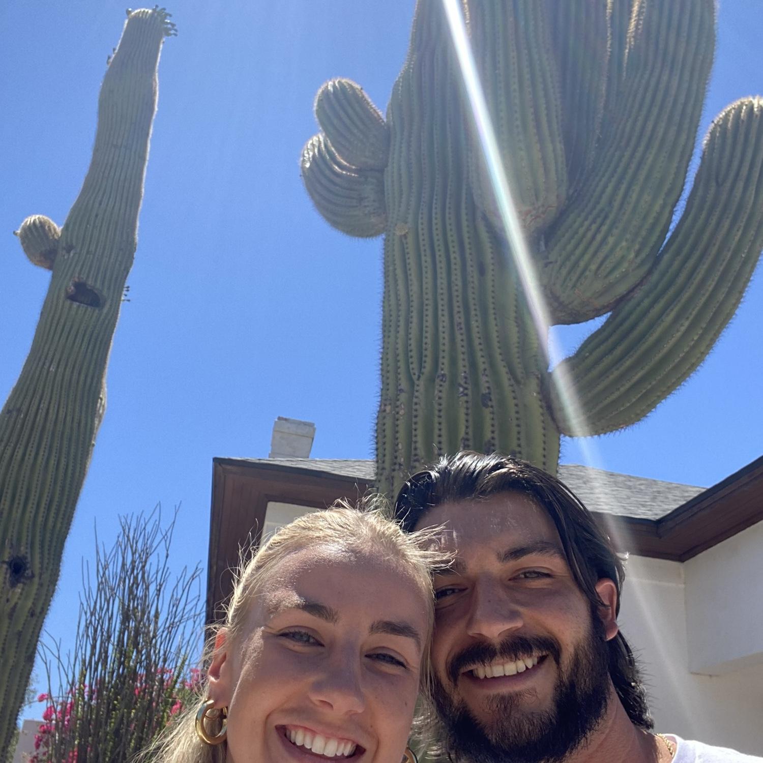 Cactuses in Tucson, Arizona