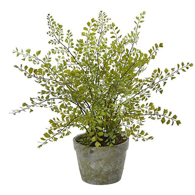 Nearly Natural 4251 Maiden Hair Artificial Plant in Planter