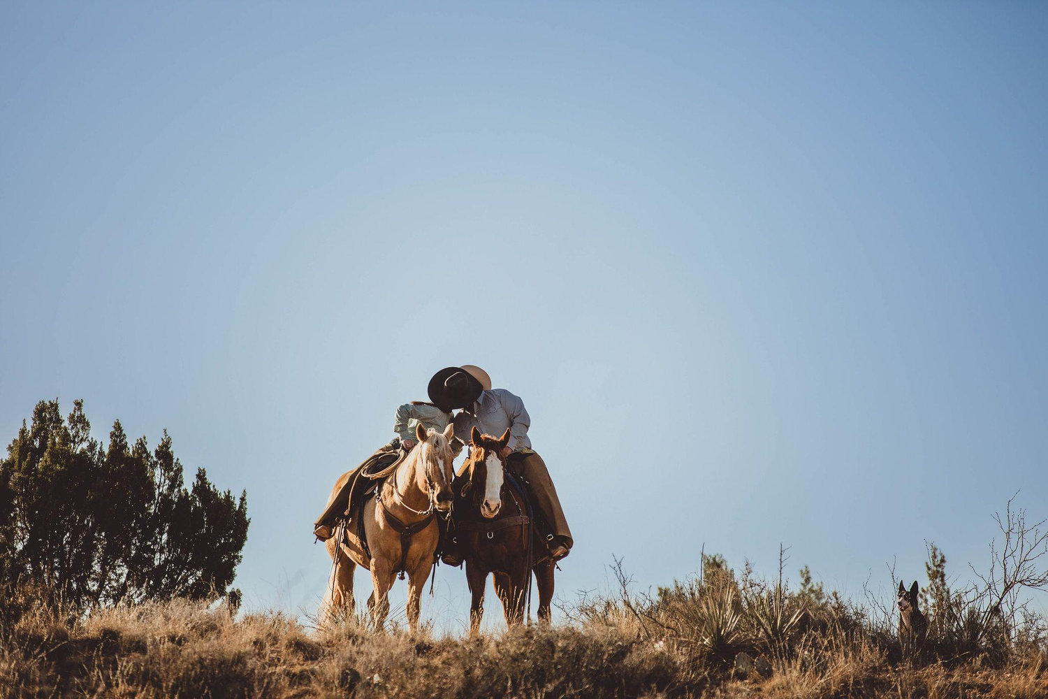 The Wedding Website of David Martinez and Sequoyah Branham