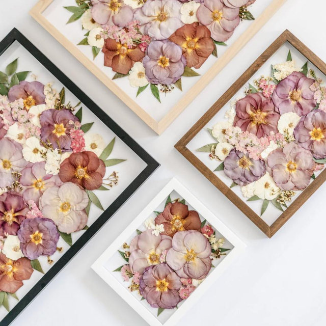 White Poppy Preservation - Pressed Floral Frame