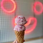 Sorry Not Sorry Creamery - Flamingo