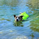 Whiskeytown Lake