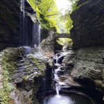 Watkins Glen