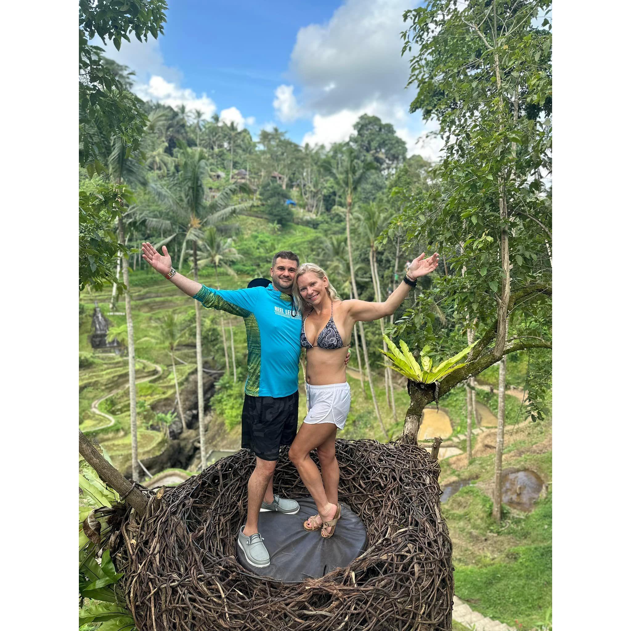 Bali Rice Farm