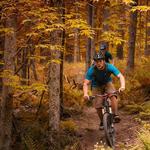 Mountain Biking