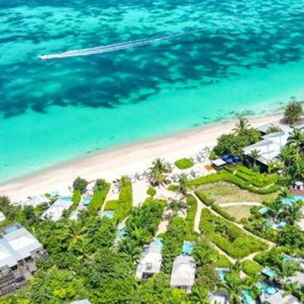 honeymoon (venmo no fees)