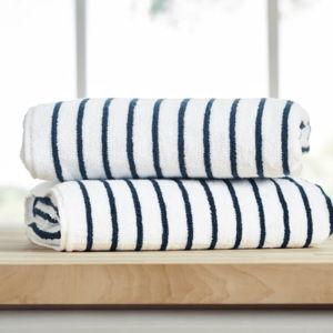Birch Lane™ 100% Cotton Cabana Beach Towel | Birch Lane