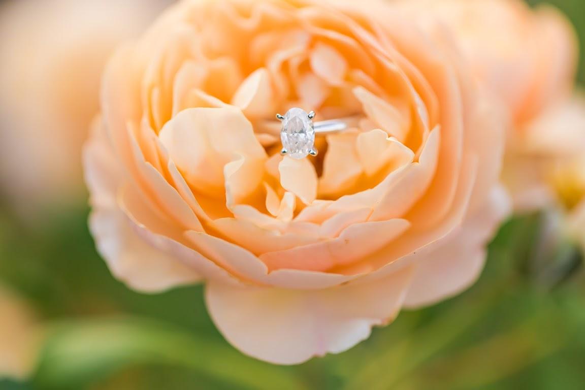 The Wedding Website of Kacey Curtin and Blake Hallauer