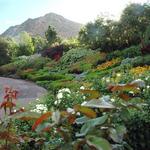Red Butte Gardens