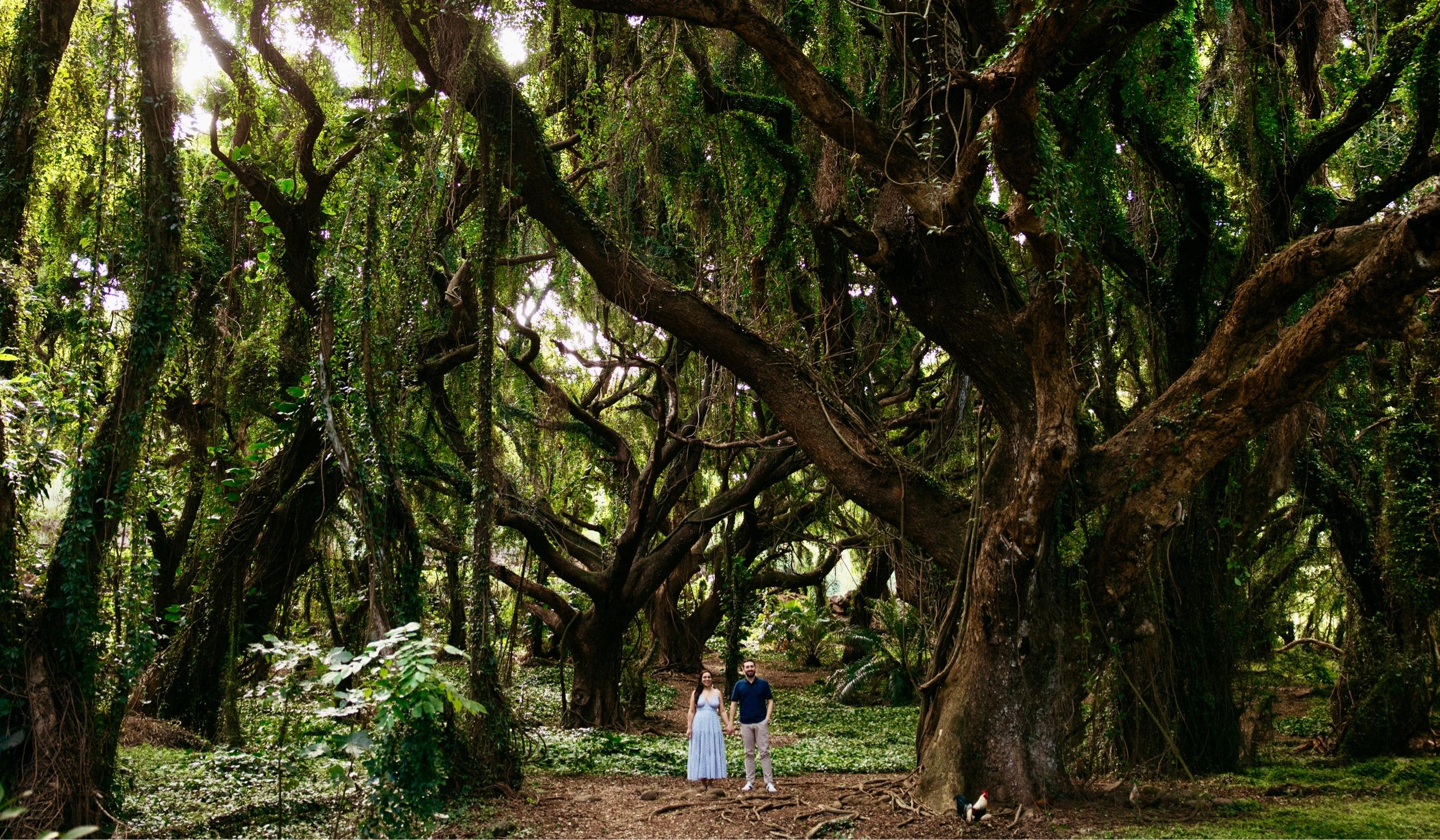 The Wedding Website of Sara Camarena and Zach Graf-Rice