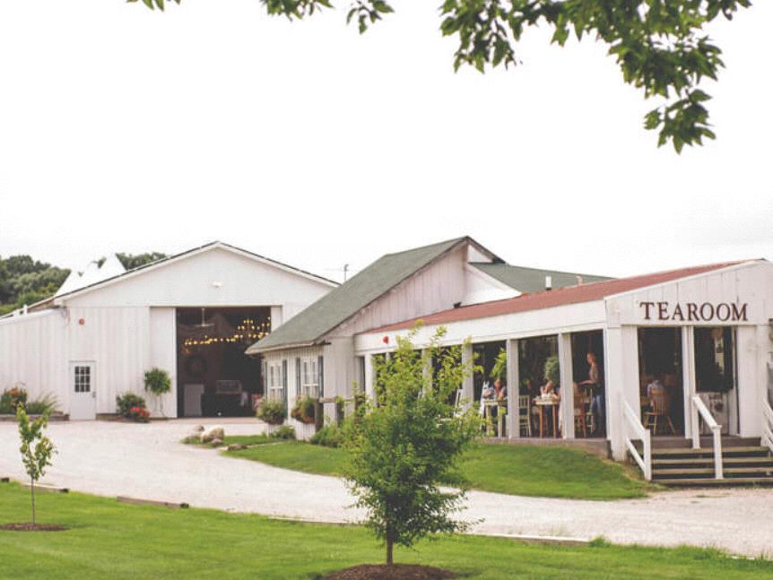 The Wedding Website of Hailey Ulekowski and Andrew Fusco