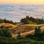 Mount Tamalpais