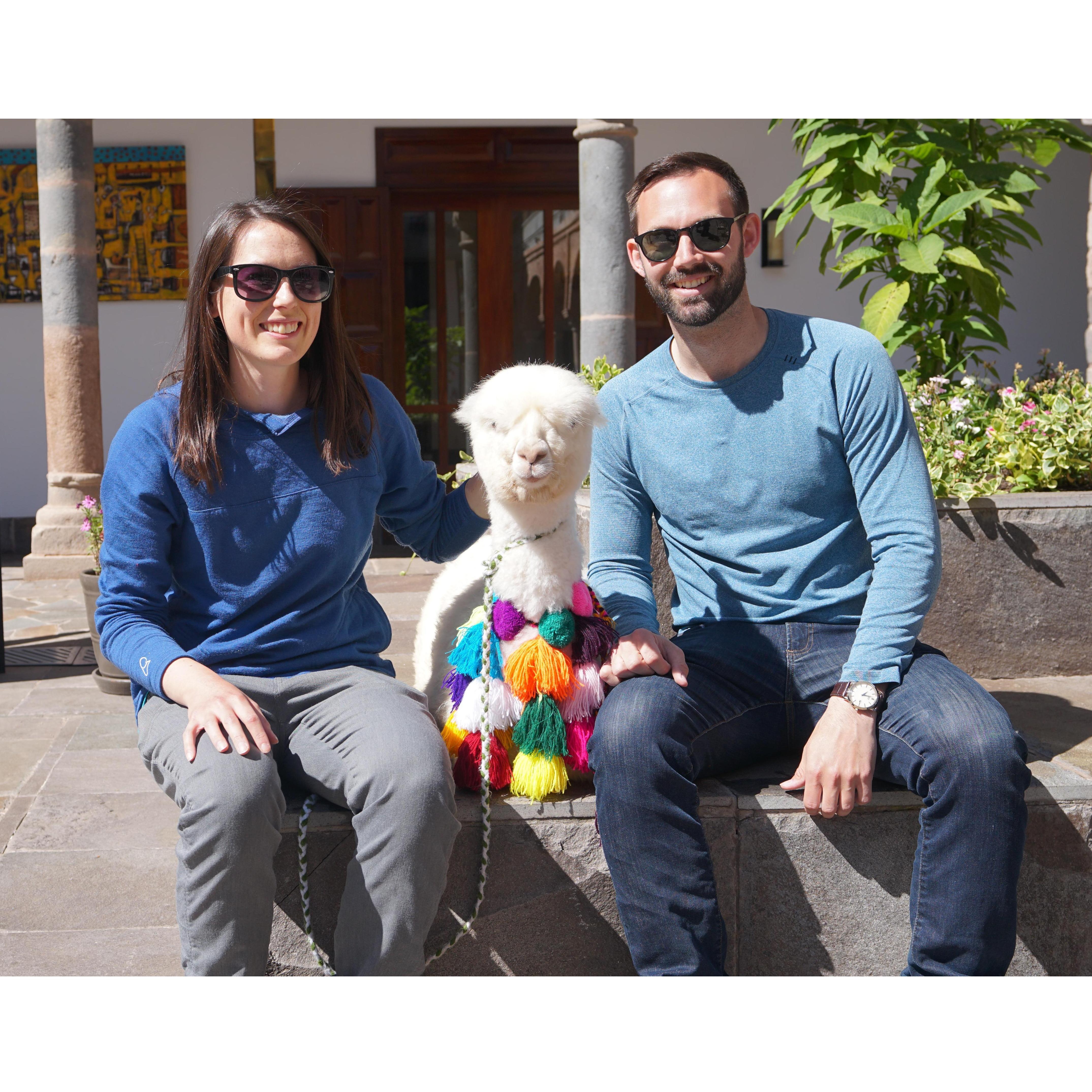 Katherine's best friend in Peru was Pancho the Alpaca
