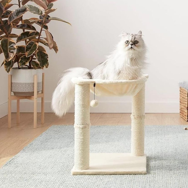 Amazon Basics Cat Condo Tower with Hammock Bed and Scratching Post,Easy to Assemble,Plush Hammock,Interactive Hanging Ball,Durable Sisal Scratch Posts for Indoor Cats, 15.8 x 15.8 x 19.7 Inches, Beige