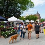 Fayetteville Farmer's Market & Historic Square