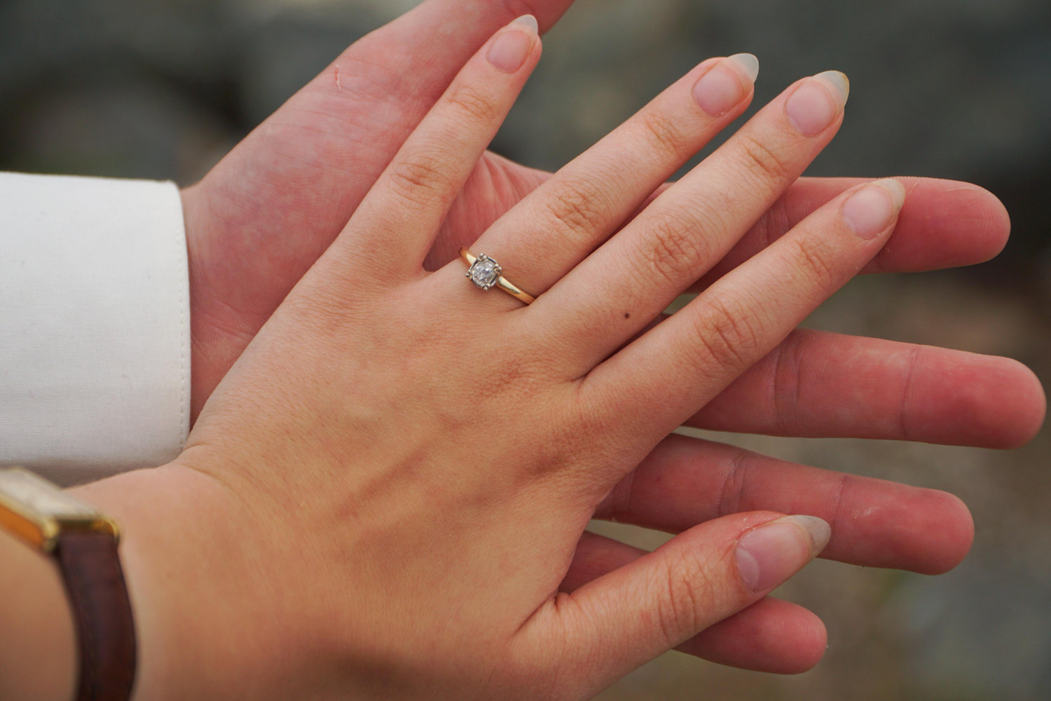 The Wedding Website of Abigail Newton and Benjamin Kohnle