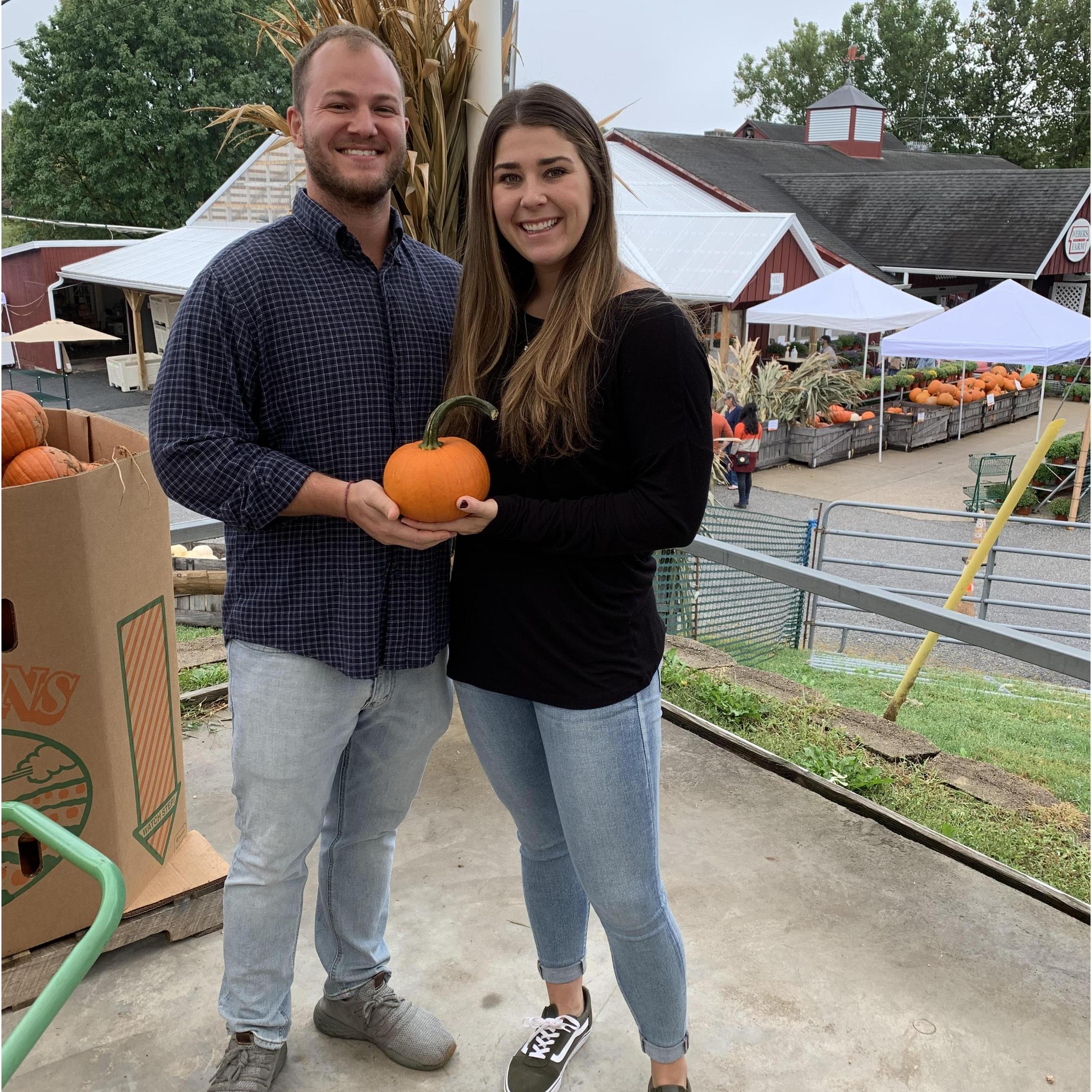 Pumpkin Picking!