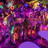 Meow Wolf Denver's Convergence Station