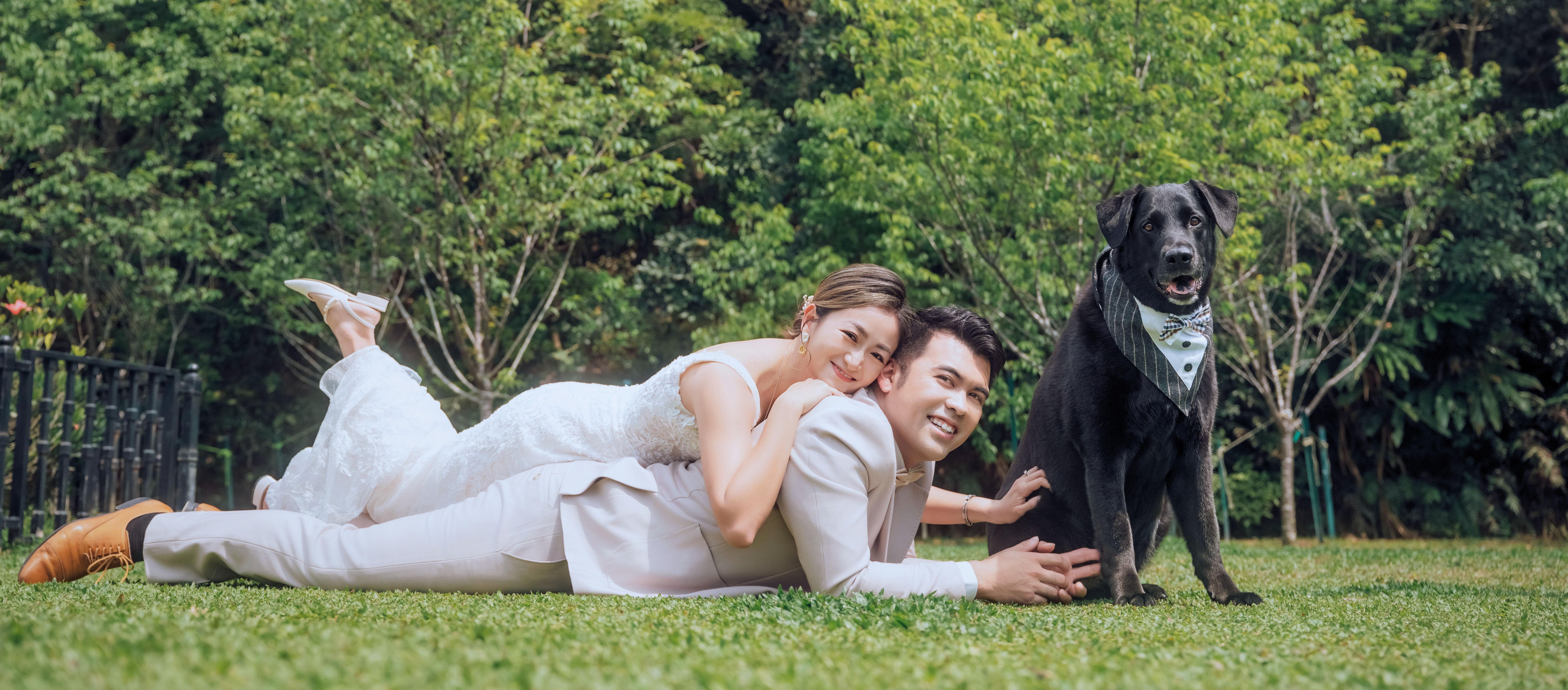 The Wedding Website of Wenjun Zeng and Tomohiro Tsuchiya