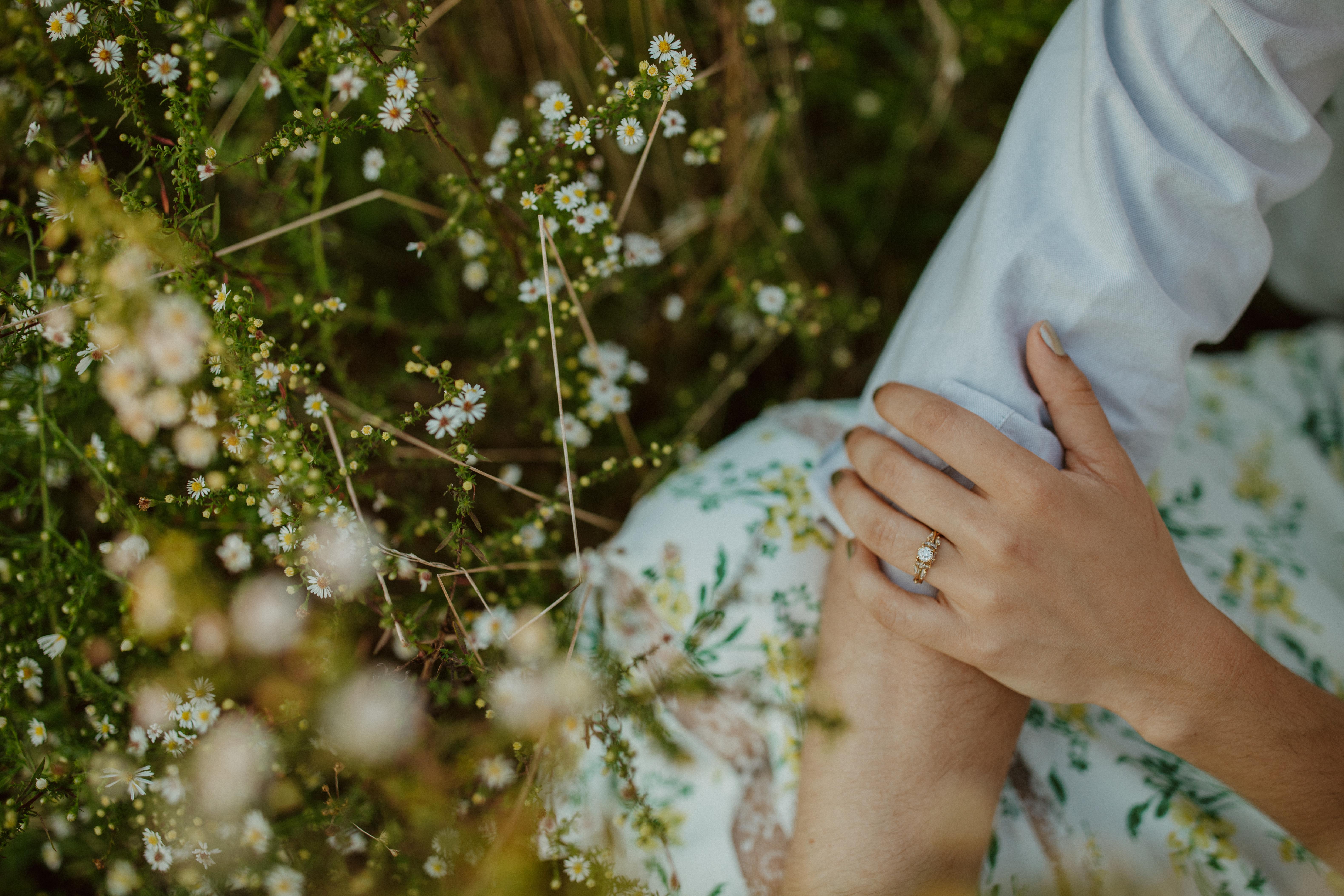 The Wedding Website of Sanam Hashemi and Steven Burneson