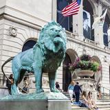 The Art Institute of Chicago