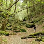 Ice Glen Trail