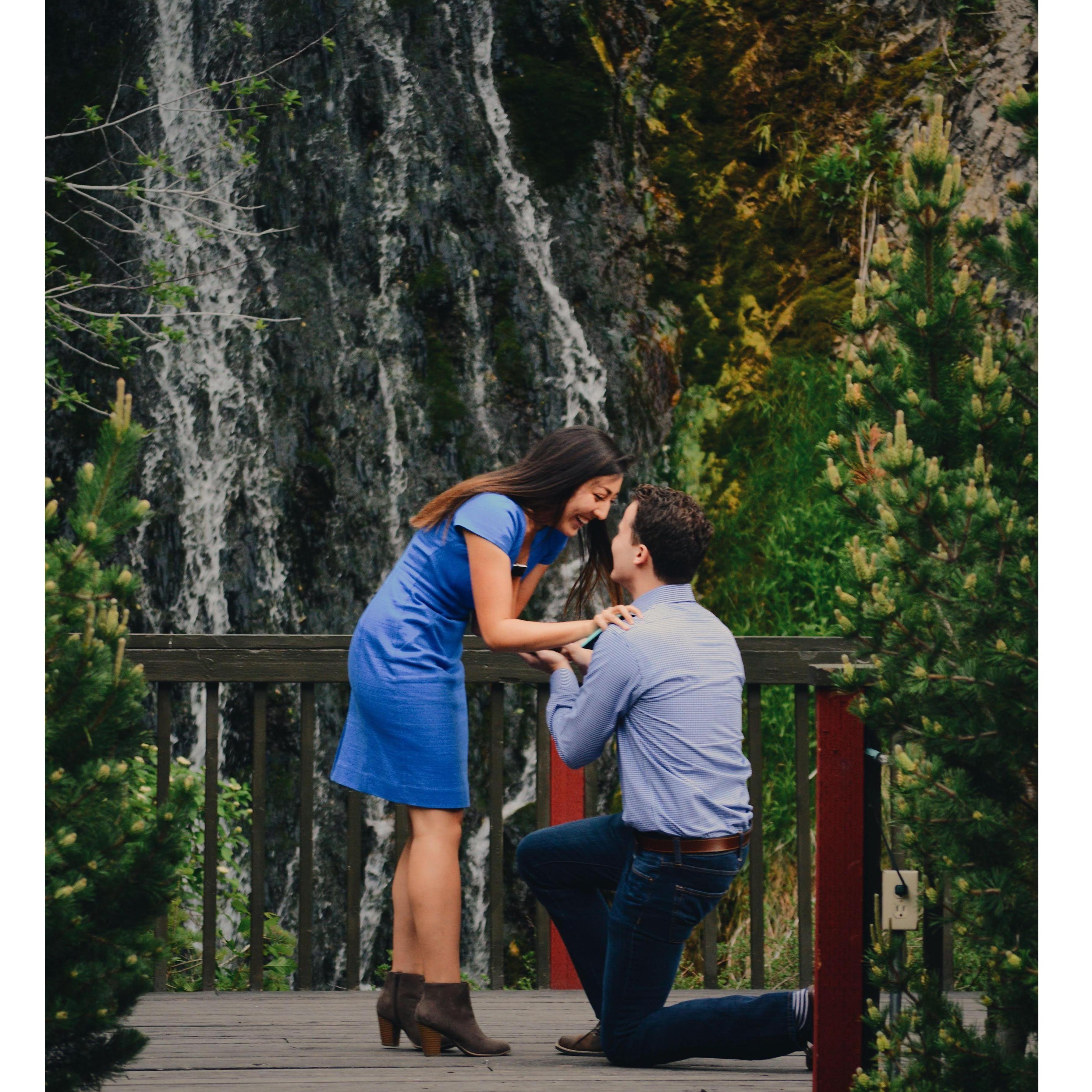 Proposal, May 31, 2018