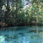 Weeki Wachee Marina