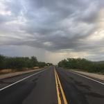 Saguaro National Park East