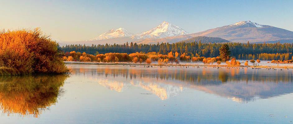 The Wedding Website of Lauren Hogan and Benjamin Presley