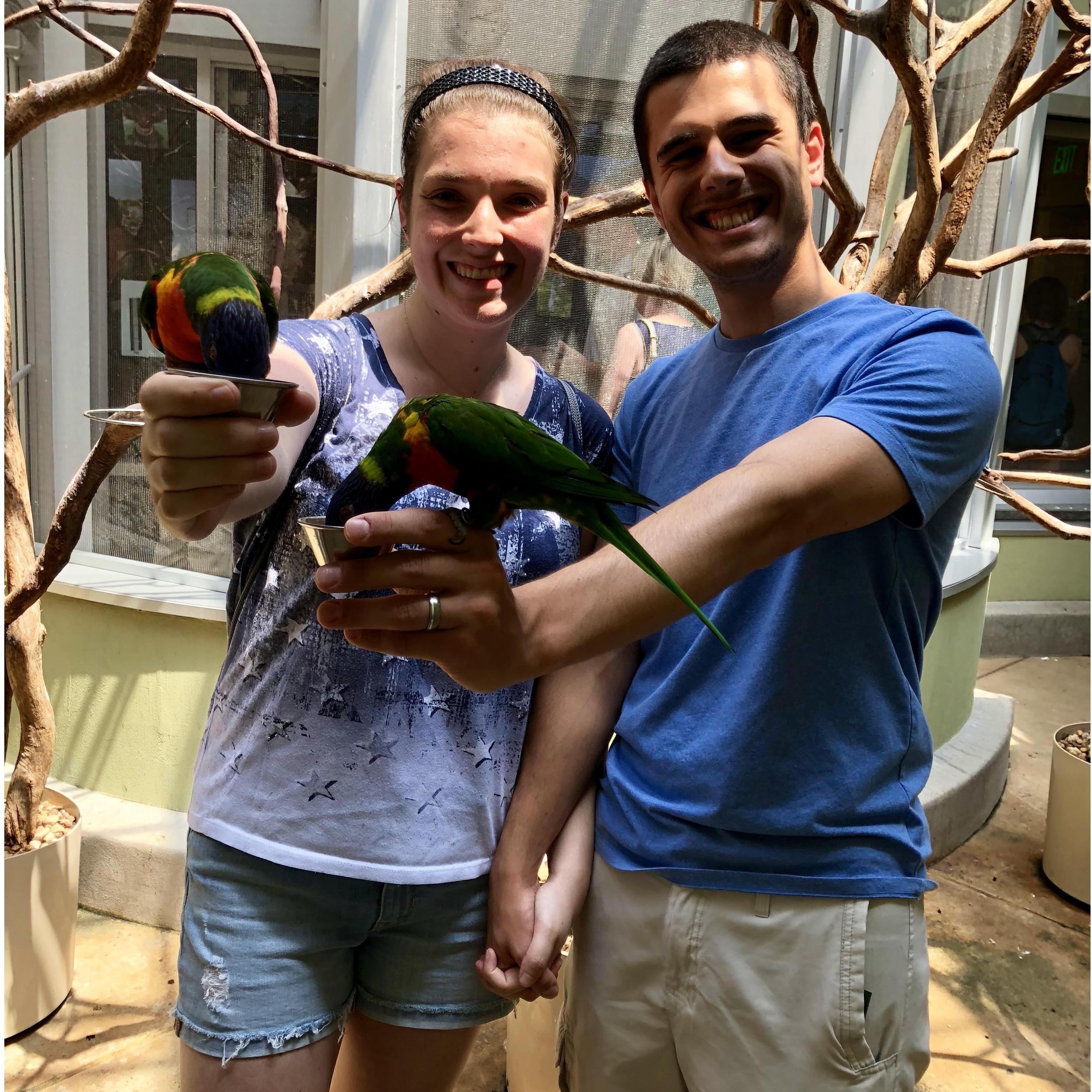 National Aviary. Summer 2018.