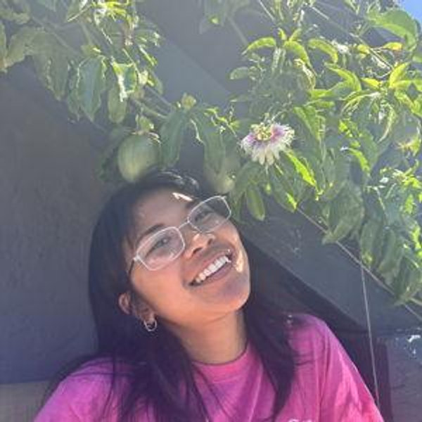 Plants & Paints & Creativity Fund