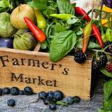 Vanderbilt Farmers Market