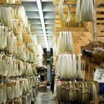 King’s Saddlery Museum