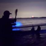 Florida Adventurer: Bioluminescent Kayaking Cocoa Beach