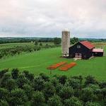 Evans Orchard and Cider Mill