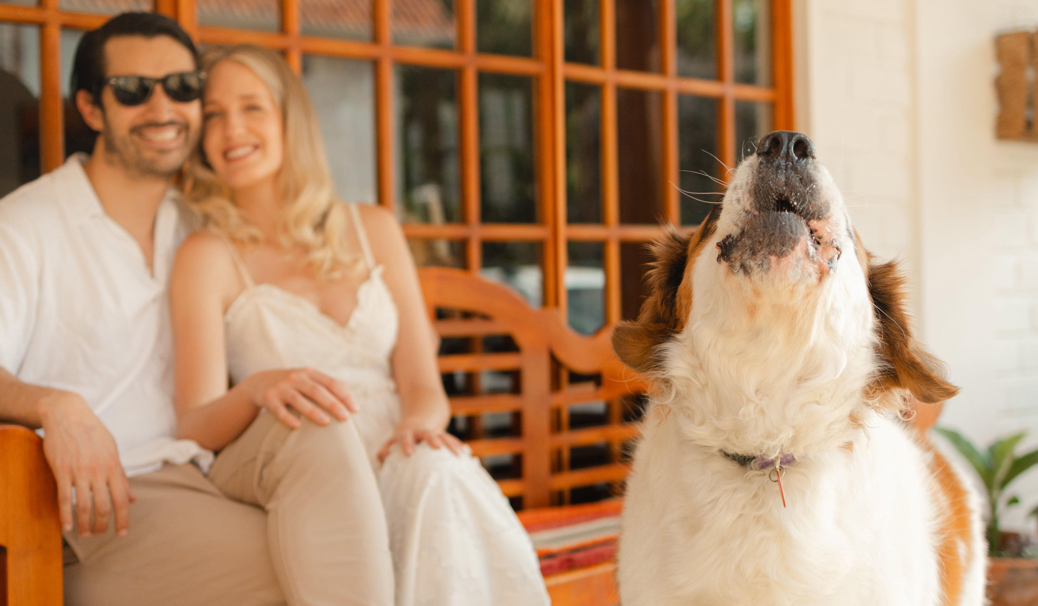 Hero Slideshow Image 2