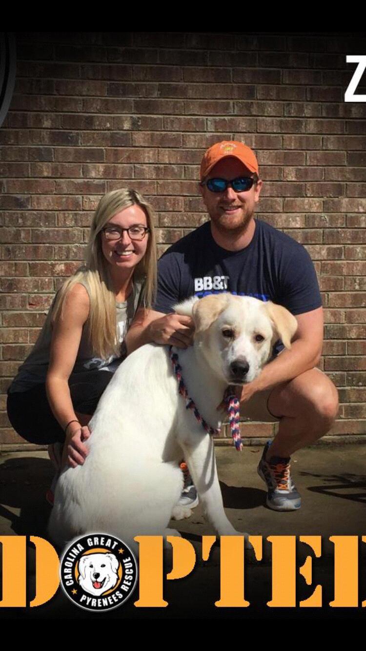The day we became fur-parents :) Memorial Day Weekend 2017