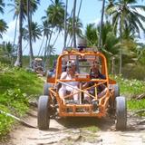 Go on a Buggy or ATV Adventure