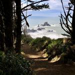Ecola State Park