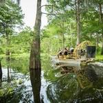 Swamp Tour