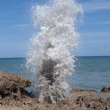 Blowing Rocks Preserve