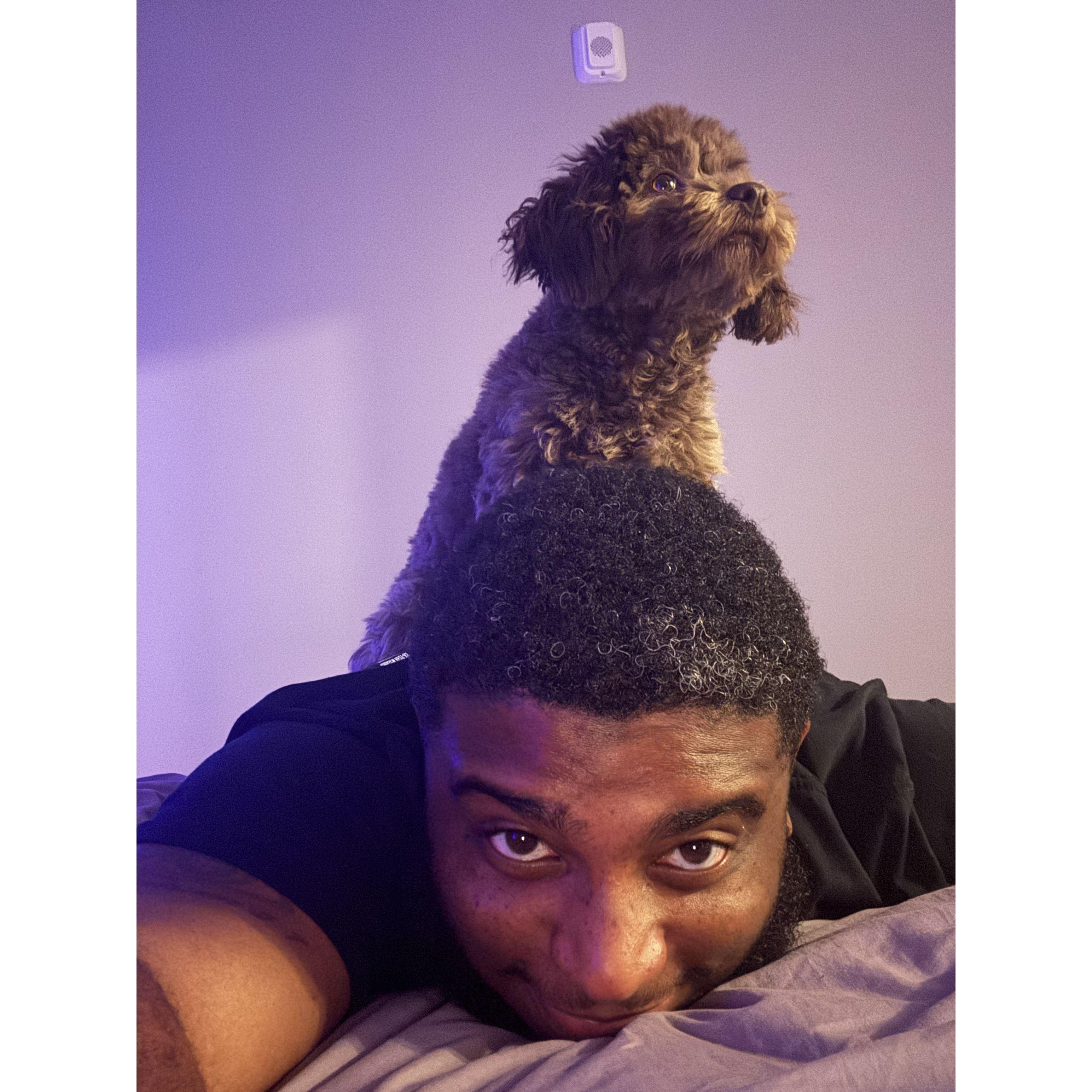 Robert and Kovu being silly together!
