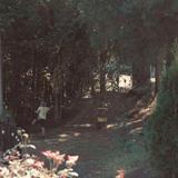 Meadow Ridge Disk Golf Course